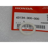DUST SEAL, BRAKE CAM